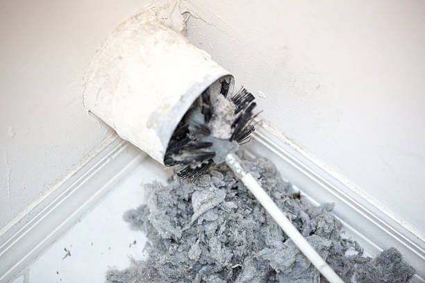 Best Affordable HVAC Duct Cleaning  in Westphalia, MD